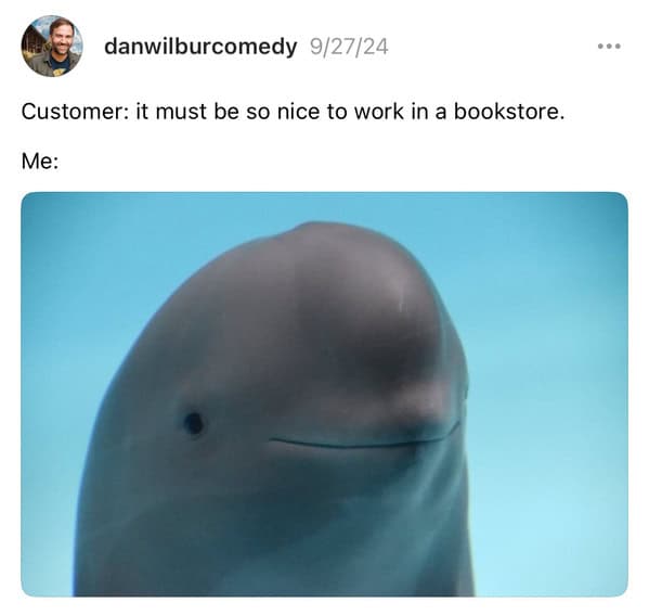 smiling dolphin memes, viral dolphin memes, dolphin humor, funny dolphin memes, viral animal memes, funny animal pictures, animal reaction memes, popular animal memes, dolphin smile memes, feel-good animal humor