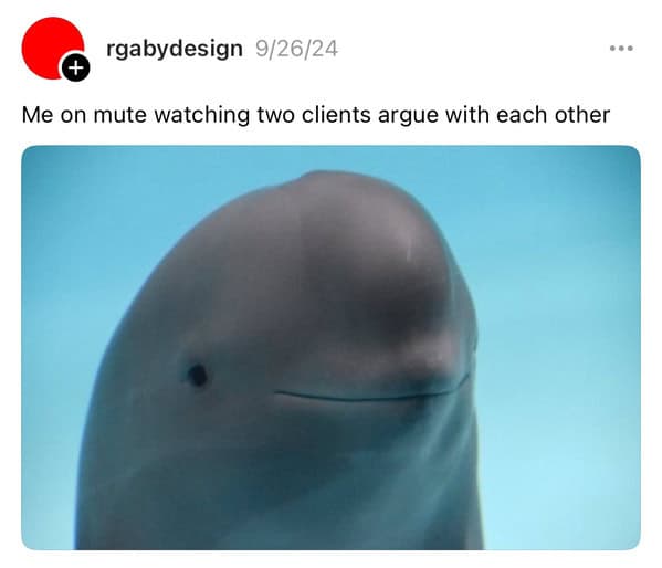 smiling dolphin memes, viral dolphin memes, dolphin humor, funny dolphin memes, viral animal memes, funny animal pictures, animal reaction memes, popular animal memes, dolphin smile memes, feel-good animal humor