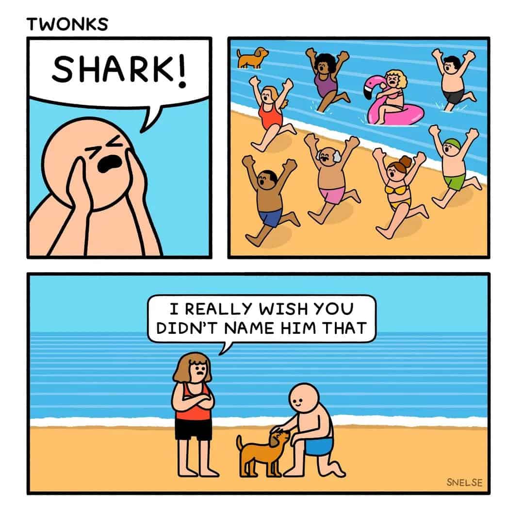 SNELSE comics, Steve Neslon comics, SNELSE humor, sarcastic comics, blunt comics, funny webcomics