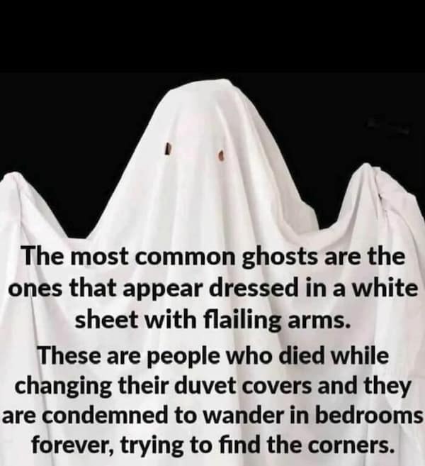 The most common ghosts are the ones that appear dressed in a white sheet with flailing arms. These are people who died while changing their duvet covers and they are condemned to wander in bedrooms forever, trying to find the corners.
