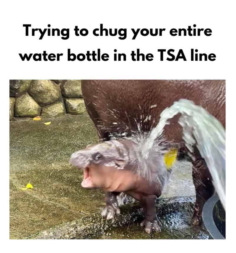 Trying to chug your entire water bottle in the TSA line