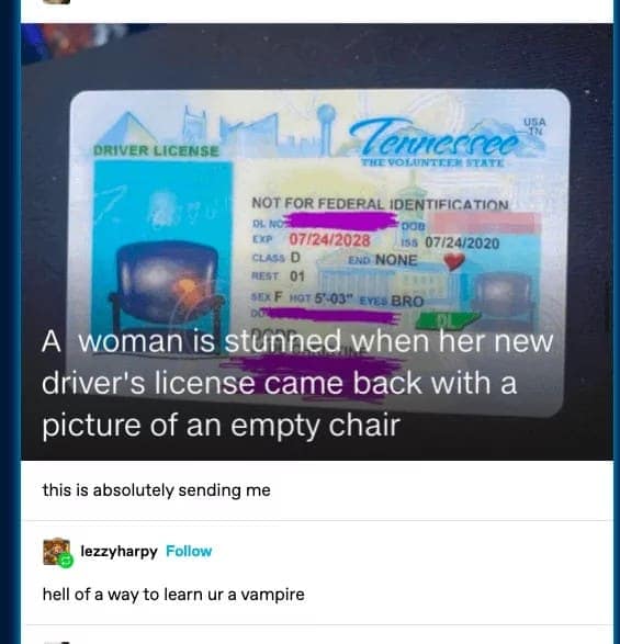 vampire memes, funny vampire images, Halloween humor, Halloween memes, spooky memes, Dracula humor