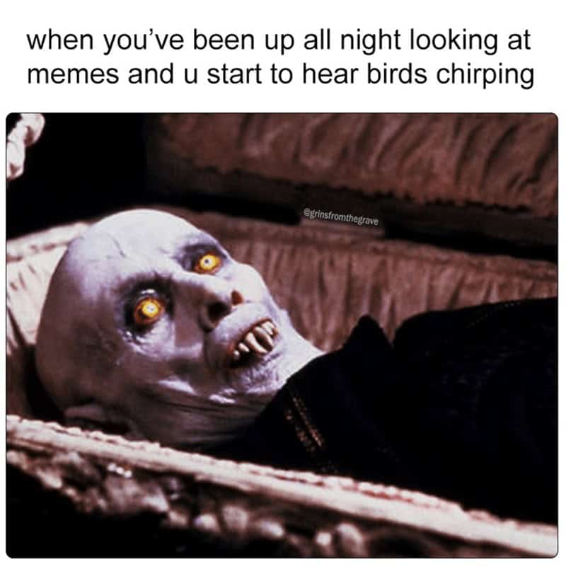 vampire memes, funny vampire images, Halloween humor, Halloween memes, spooky memes, Dracula humor