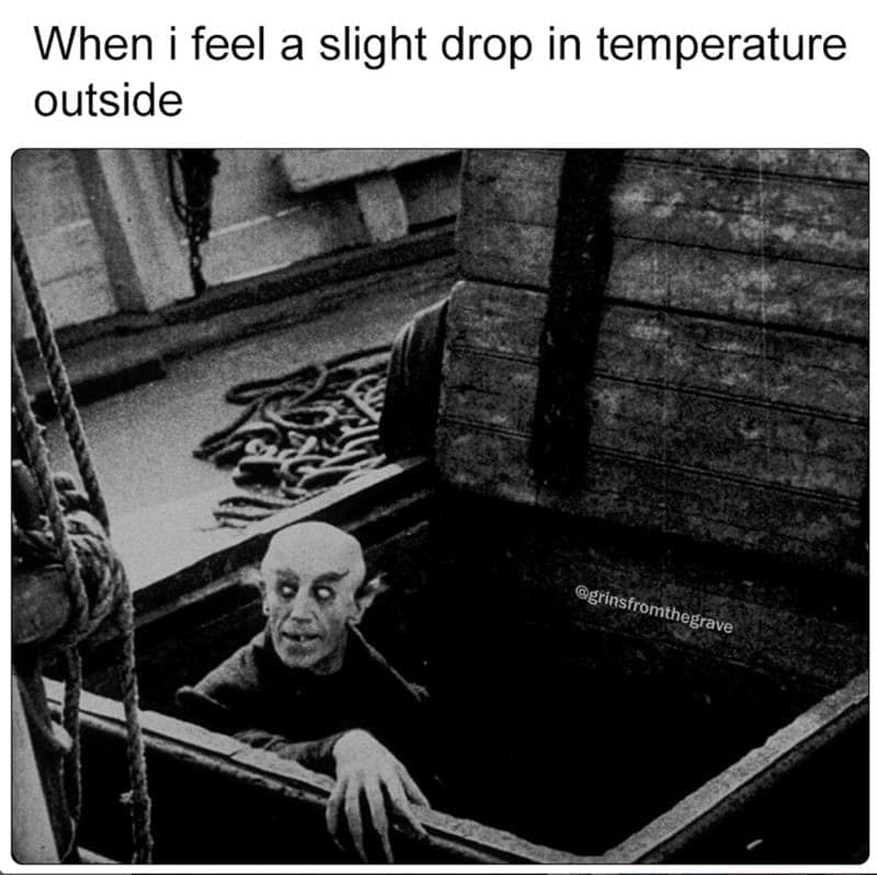 vampire memes, funny vampire images, Halloween humor, Halloween memes, spooky memes, Dracula humor