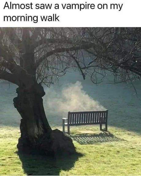 vampire memes, funny vampire images, Halloween humor, Halloween memes, spooky memes, Dracula humor