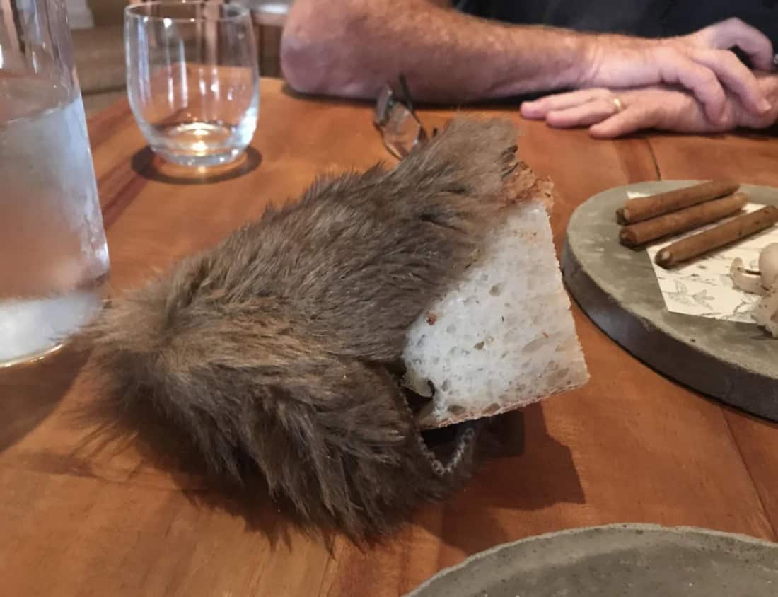 we want plates, plate humor, dining fails, restaurant joke memes, ridiculous food serving