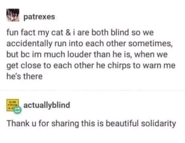 wholesome memes, heartwarming memes, uplifting memes, Feel-good memes, Positive memes, kindness memes