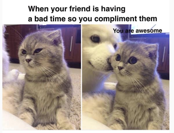 wholesome memes, heartwarming memes, uplifting memes, feel-good memes, touching pictures, heartening photos, positive memes, happy memes, inspiring memes, motivational memes