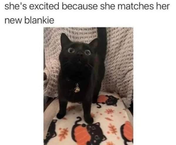 wholesome memes, heartwarming memes, uplifting memes, Feel-good memes, Positive memes, kindness memes