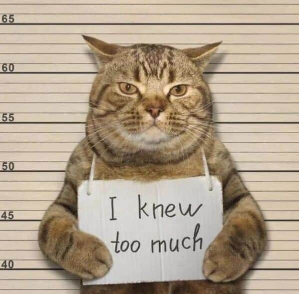 wholesome memes, heartwarming memes, uplifting memes, Feel-good memes, Positive memes, kindness memes