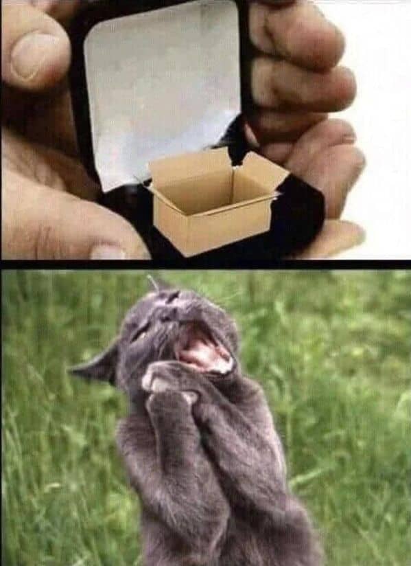 wholesome memes, heartwarming memes, uplifting memes, Feel-good memes, Positive memes, kindness memes