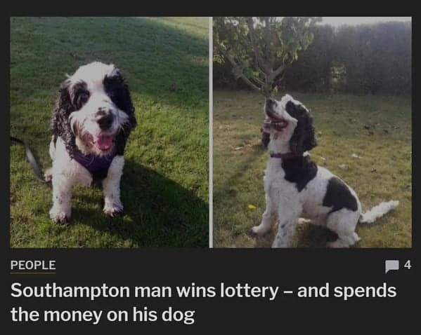 wholesome memes, heartwarming memes, uplifting memes, Feel-good memes, Positive memes, kindness memes