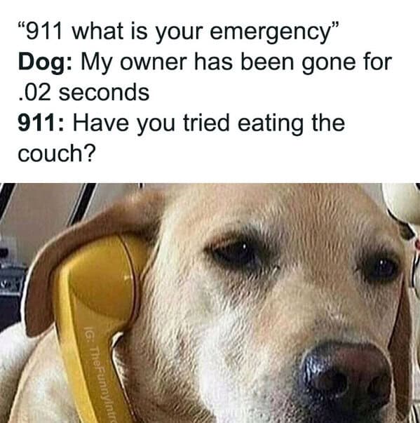 wholesome memes, heartwarming memes, uplifting memes, Feel-good memes, Positive memes, kindness memes