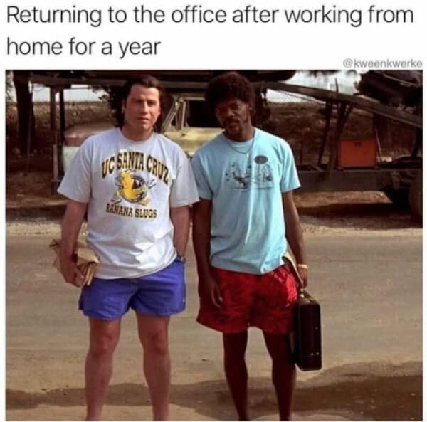 work memes, Hilarious Work Tweets, Office Humor Compilation, Funny Work Fails, Hilarious Workplace Blunders, Comical Work Situations