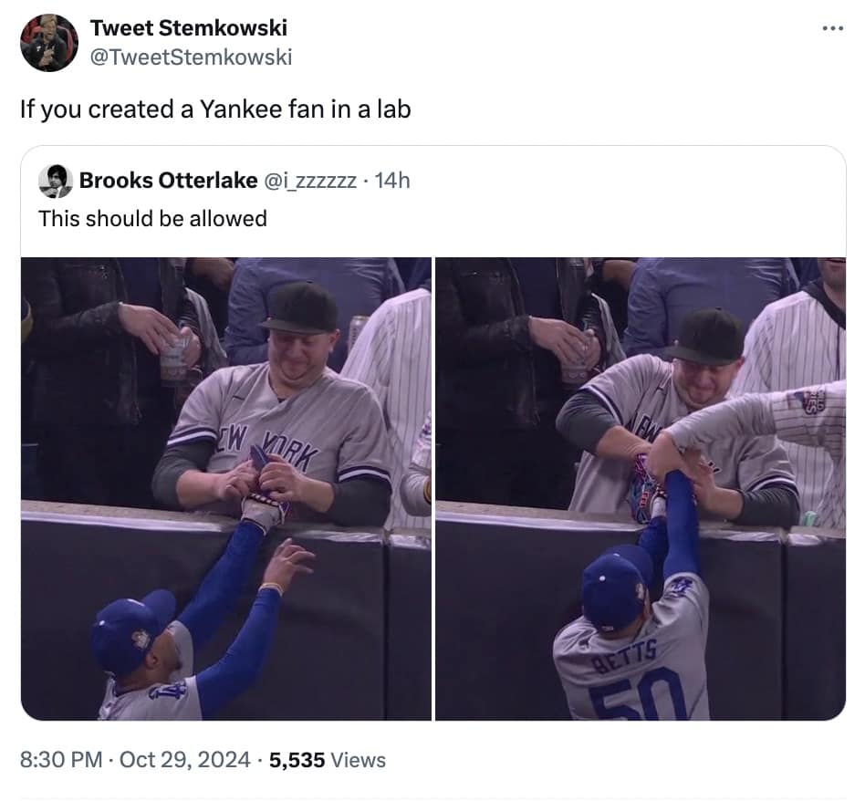 yankees fan interference memes, bronx bedlam, Yankees viral moment memes, Yankees fan chaos memes, Yankees outfield interference memes, World Series fan interference memes, MLB fan interference memes, baseball fan interference memes, World Series viral memes