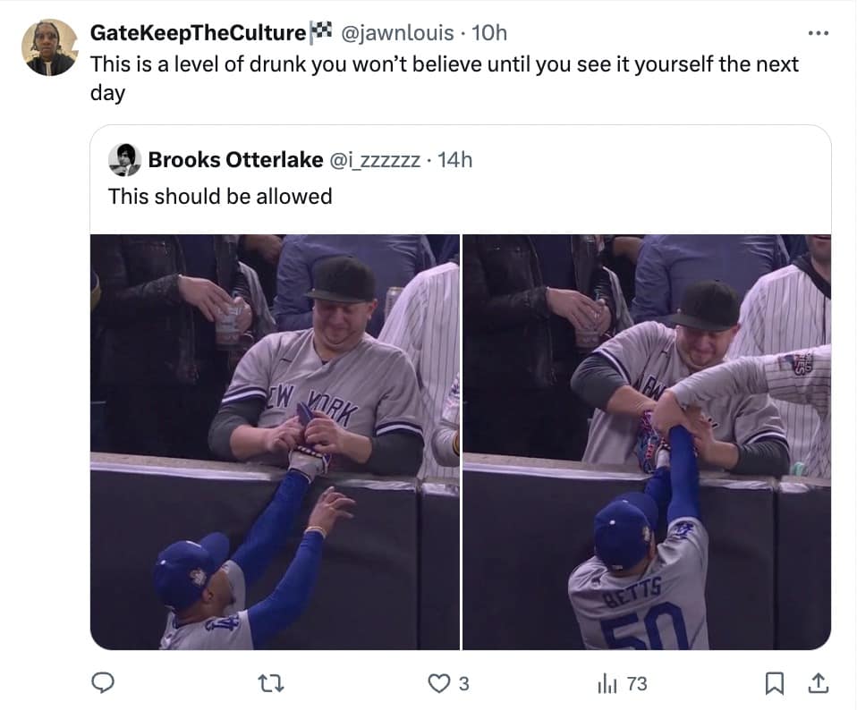 yankees fan interference memes, bronx bedlam, Yankees viral moment memes, Yankees fan chaos memes, Yankees outfield interference memes, World Series fan interference memes, MLB fan interference memes, baseball fan interference memes, World Series viral memes