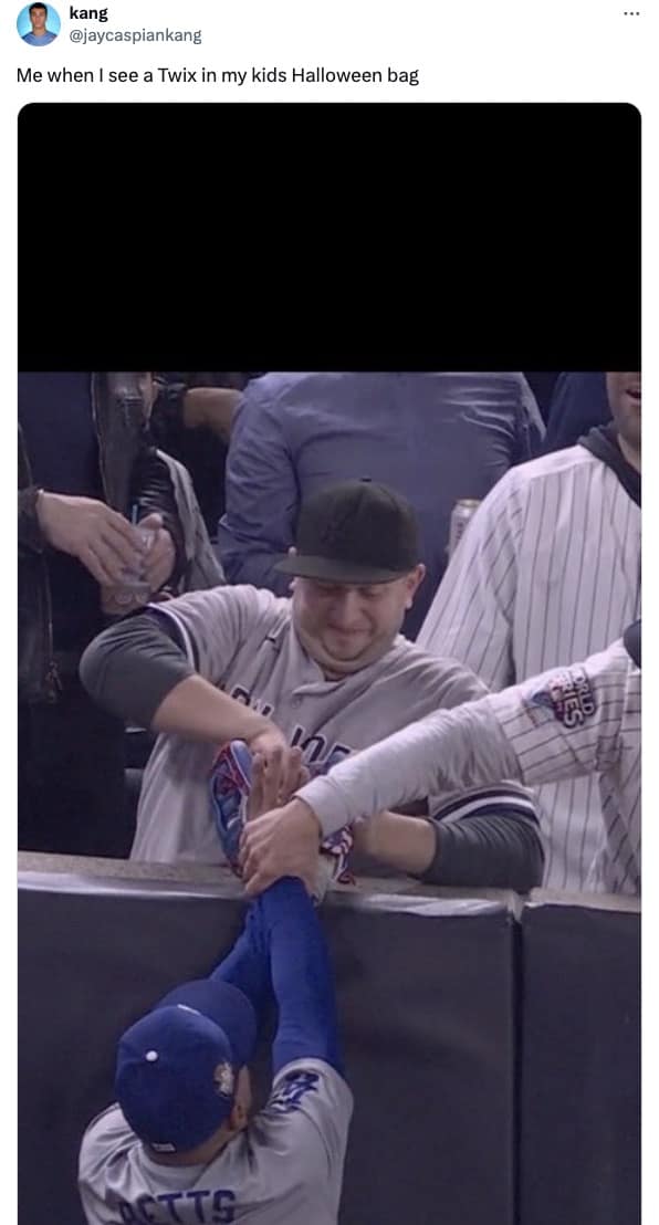 yankees fan interference memes, bronx bedlam, Yankees viral moment memes, Yankees fan chaos memes, Yankees outfield interference memes, World Series fan interference memes, MLB fan interference memes, baseball fan interference memes, World Series viral memes