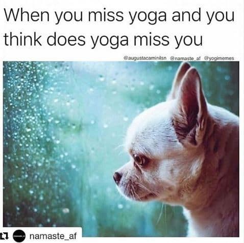yoga memes, funny yoga, yoga humor, yoga jokes, yoga class fails, meditation humor, fitness jokes