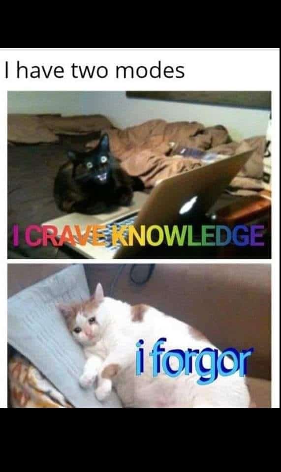 adhd memes, focus memes, distraction memes, attention span memes, hyper-fixation memes, productivity memes, motivation memes, scattered brain memes, focus struggle memes