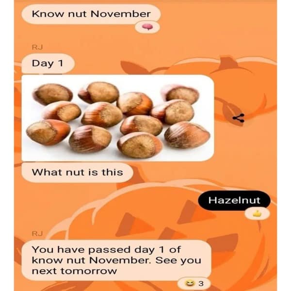 Know nut November RJ Day 1 What nut is this Hazelnut
