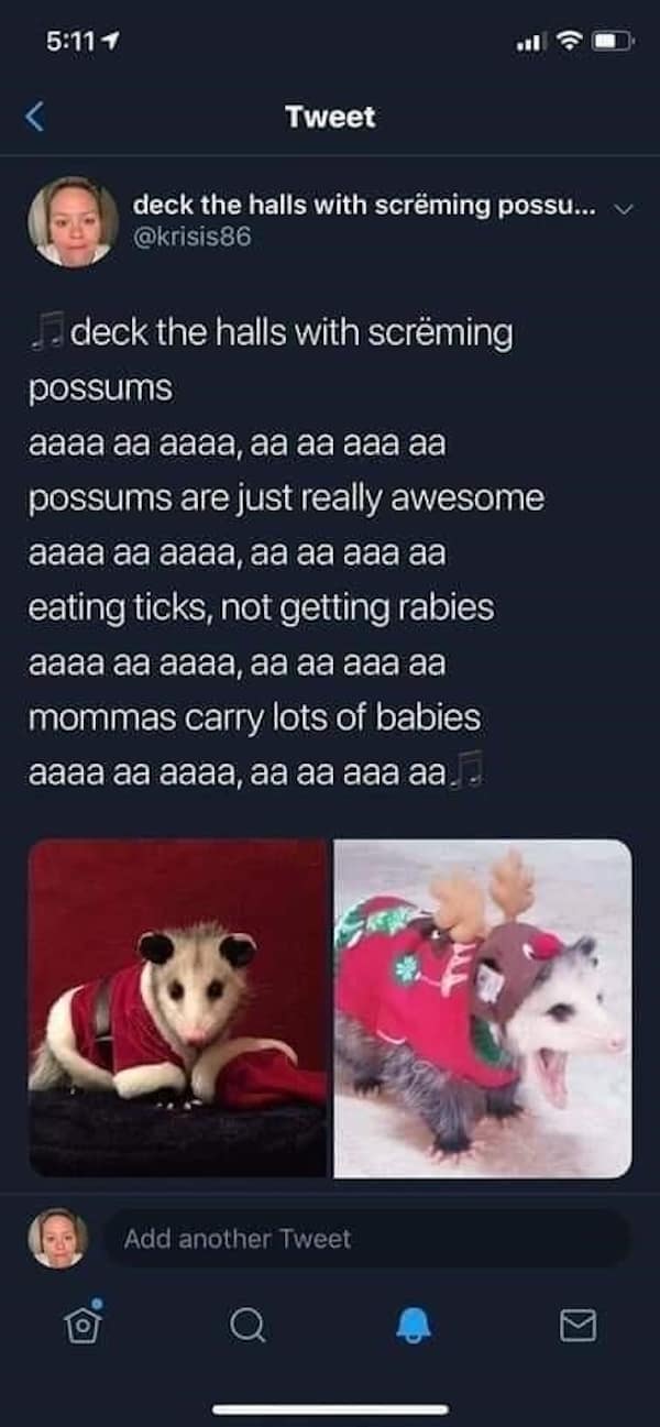 animal memes, pet memes, furry memes, creature memes, cute animal memes, funny animal pictures, animal humor, animal jokes, pet humor, animal giggles