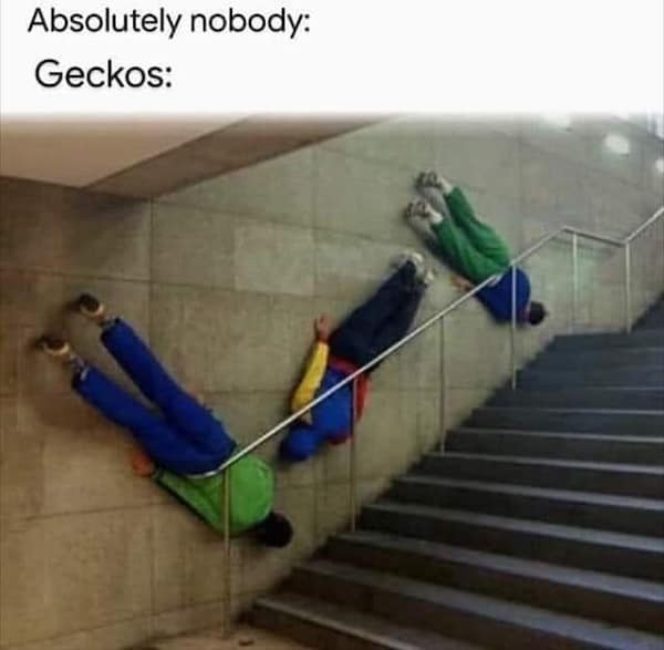 animal memes, pet memes, furry memes, creature memes, cute animal memes, funny animal pictures, animal humor, animal jokes, pet humor, animal giggles