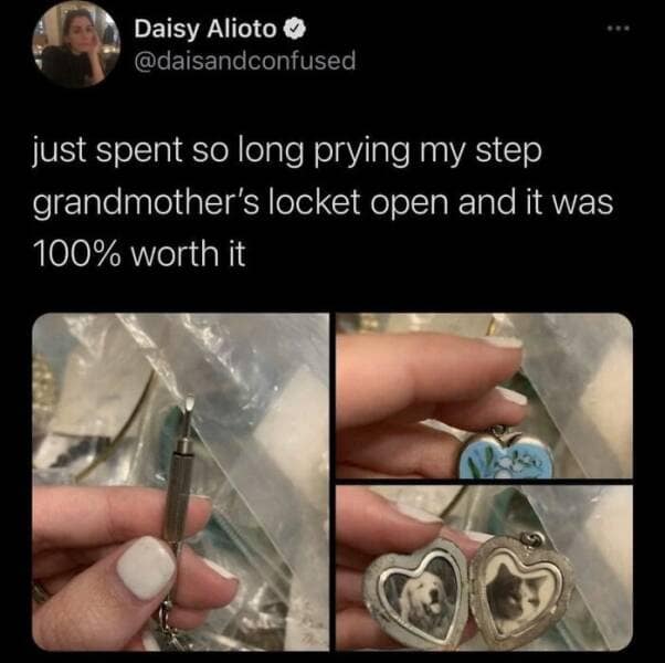 animal memes, pet memes, funny animal pictures, hilarious pet moments, animal jokes, pet humor, funny animal memes