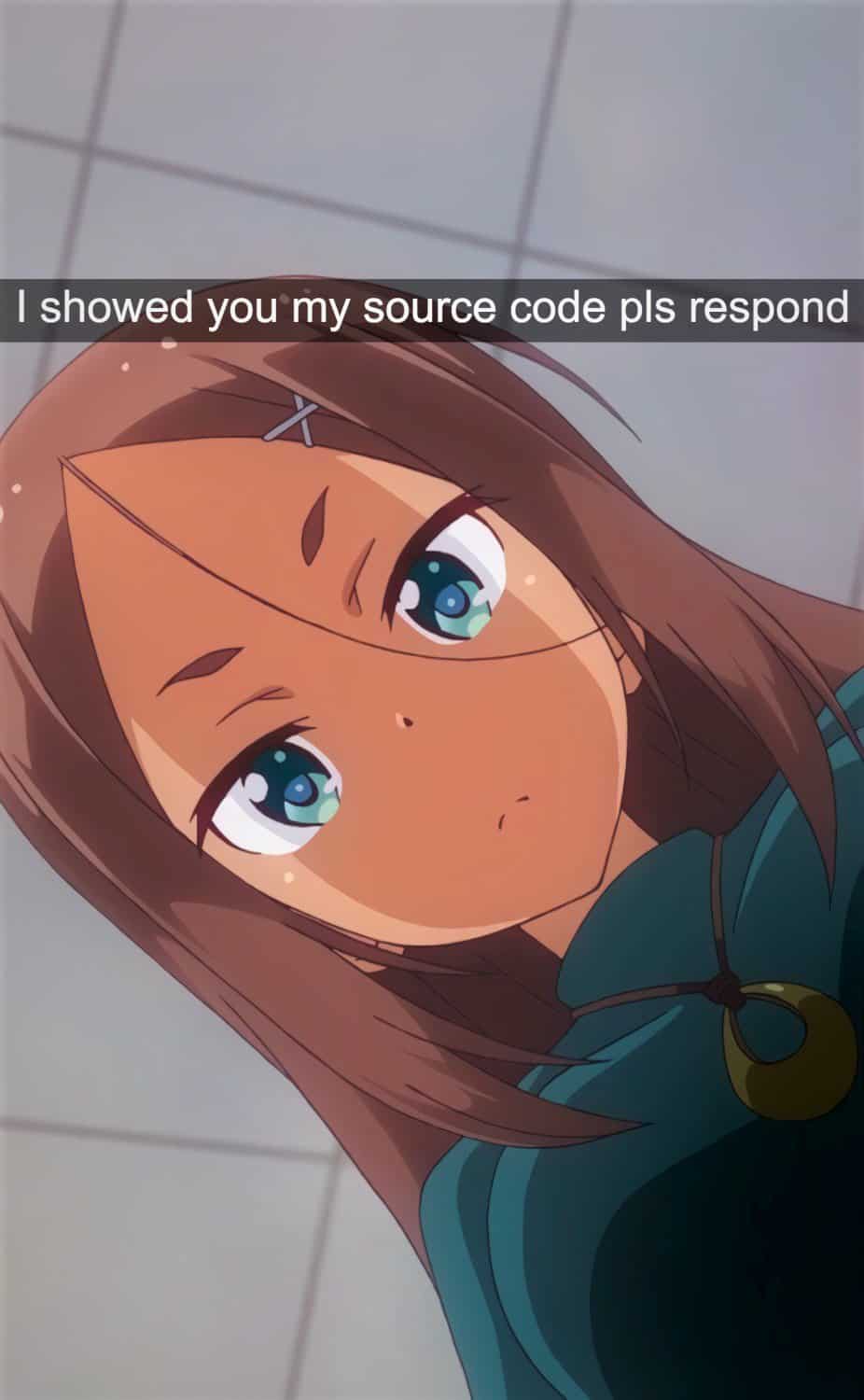 anime memes, programmer memes, anime humor, anime funny images, anime jokes, Computer nerd memes, heek humor, Computer science memes, coding jokes, programming memes