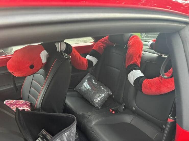 best thrift store finds, vintage clothing, secondhand stores, bargain shopping, thrifted treasures, consignment shops, pre-loved clothes