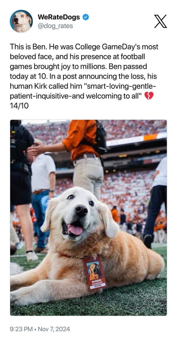 This is Ben. He was College GameDay's most beloved face, and his presence at football games brought joy to millions. Ben passed today at 10. In a post announcing the loss, his human Kirk called him "smart-loving-gentle-patient-inquisitive-and welcoming to all" 14/10