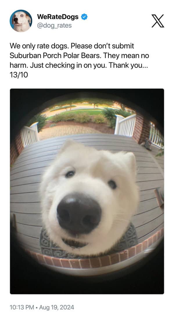 We only rate dogs. Please don't submit Suburban Porch Polar Bears. They mean no harm. Just checking in on you. Thank you... 13/10