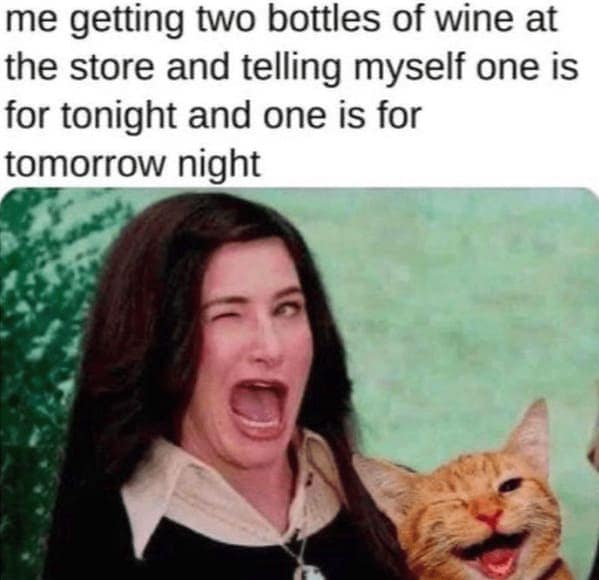 me getting two bottles of wine at the store and telling myself one is for tonight and one is for tomorrow night