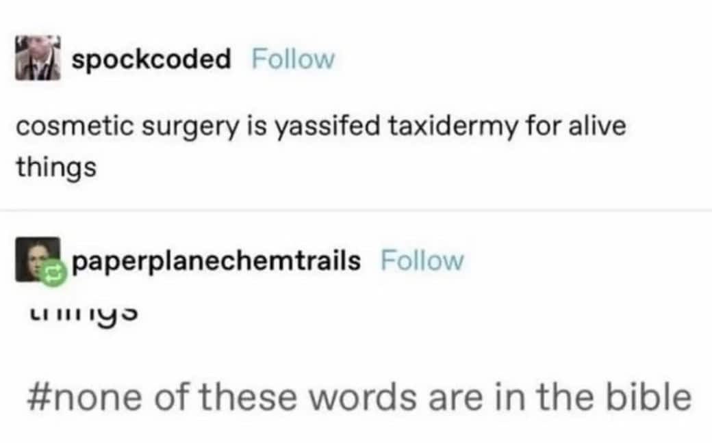 cosmetic surgery is yassifed taxidermy for alive things