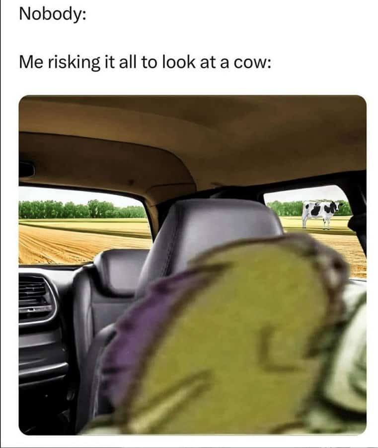 car memes, driving memes, car memes, automotive memes, vehicle memes, funny car memes, car humor, car jokes, commuter humor, traffic jokes, parking memes