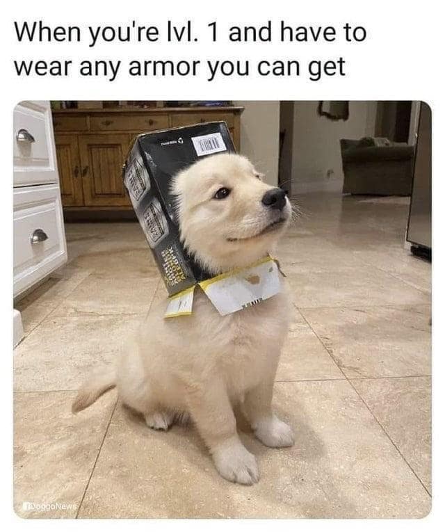 When you're Ivl. 1 and have to wear any armor you can get