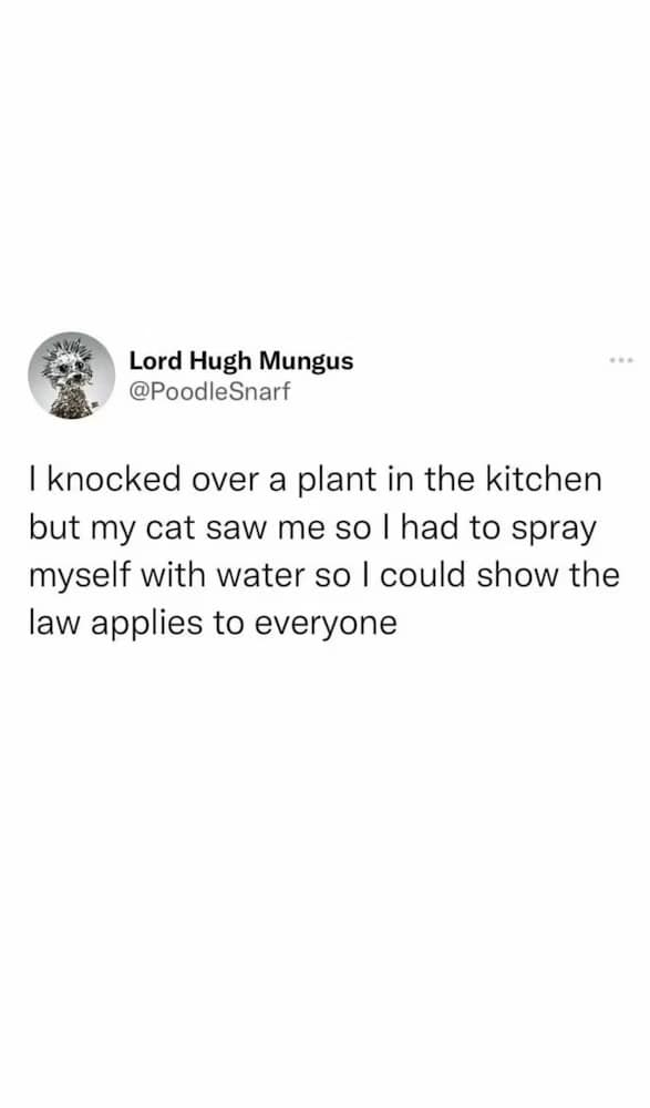 classic memes, vintage memes, viral tweets, timeless memes, old memes, evergreen memes, Viral memes, trending memes, popular memes, internet memes