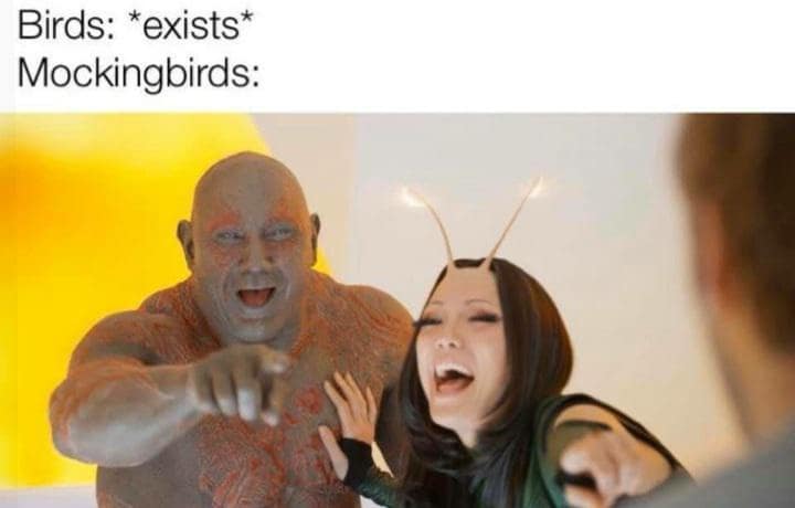 classic memes, vintage memes, viral tweets, timeless memes, old memes, evergreen memes, popular tweets, trending tweets vintage tweets, retro tweets, throwback tweets, best memes