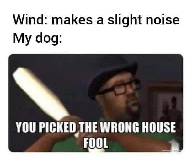 classic memes, vintage memes, viral tweets, digital humor, old memes, best memes, timeless memes, iconic tweets, internet sensations