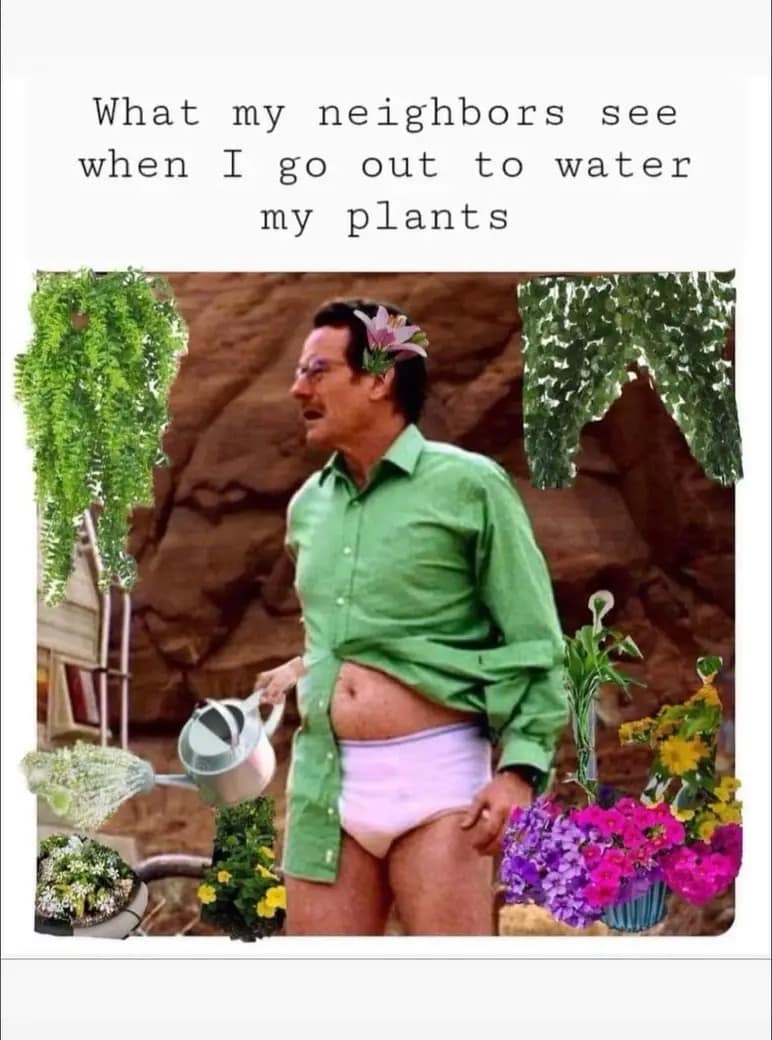 classic memes, vintage memes, viral tweets, digital humor, old memes, best memes, timeless memes, iconic tweets, internet sensations