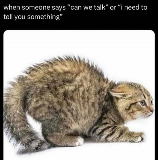 classic memes, vintage memes, viral tweets, digital humor, old memes, best memes, timeless memes, iconic tweets, internet sensations