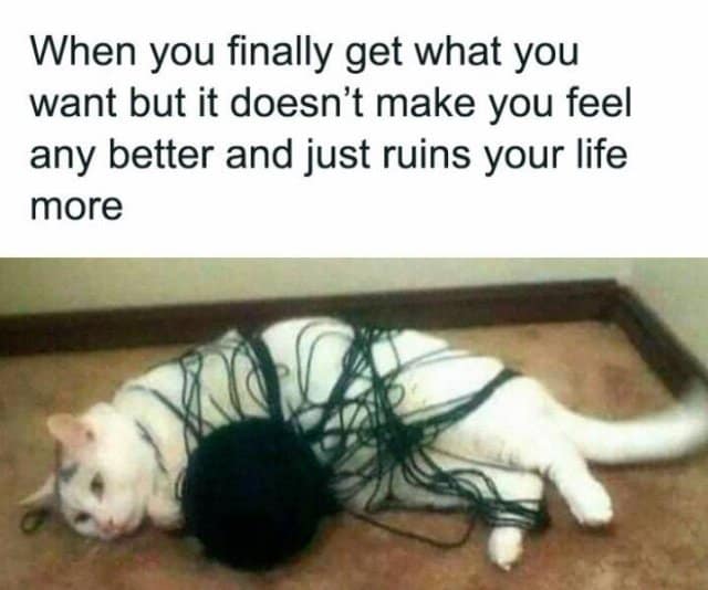 classic memes, vintage memes, viral tweets, digital humor, old memes, best memes, timeless memes, iconic tweets, internet sensations
