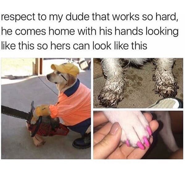 construction worker memes, construction memes, blue collar memes, builder memes, Blue collar humor, tradesmen memes, job site memes, Heavy machinery memes, equipment humor, construction jokes, Worksite safety memes, laborer memes, construction industry humor