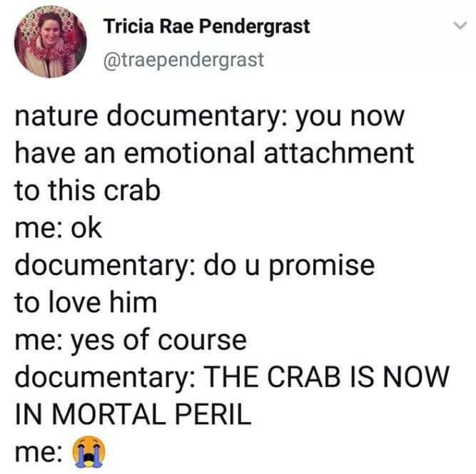crab memes, crustacean memes, funny crab jokes, hilarious crab pictures, marine memes, ocean humor, sea creature memes, beach memes, seafood humor
