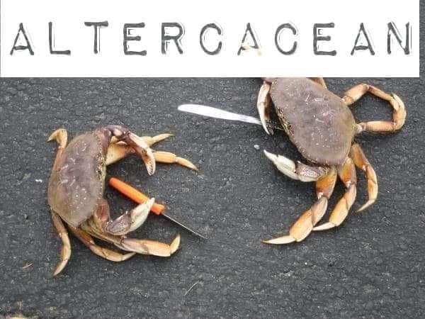 crab memes, crustacean memes, funny crab jokes, hilarious crab pictures, marine memes, ocean humor, sea creature memes, beach memes, seafood humor