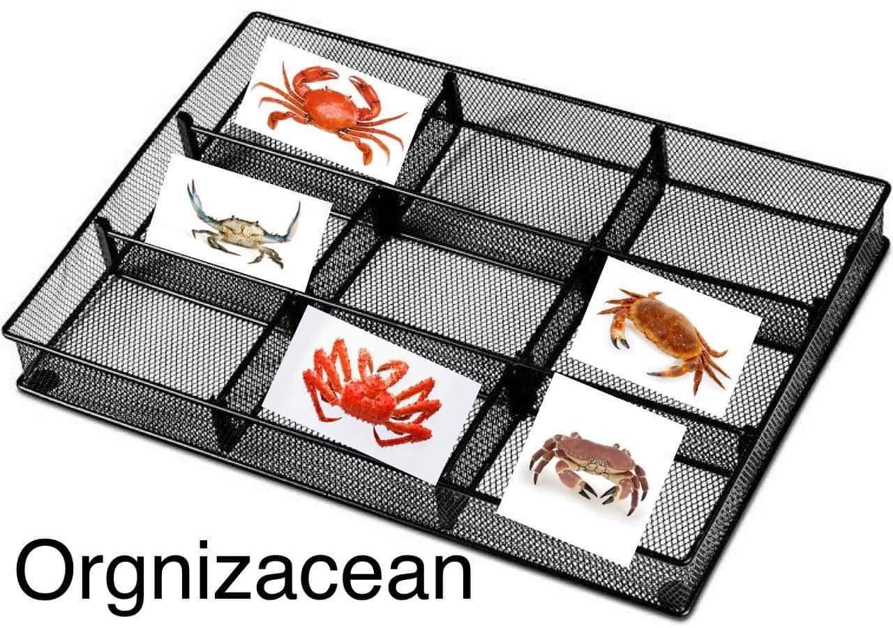 crab memes, crustacean memes, funny crab jokes, hilarious crab pictures, marine memes, ocean humor, sea creature memes, beach memes, seafood humor