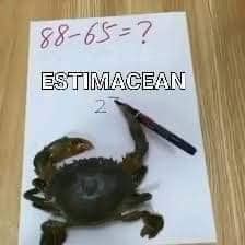 crab memes, crustacean memes, funny crab jokes, hilarious crab pictures, marine memes, ocean humor, sea creature memes, beach memes, seafood humor