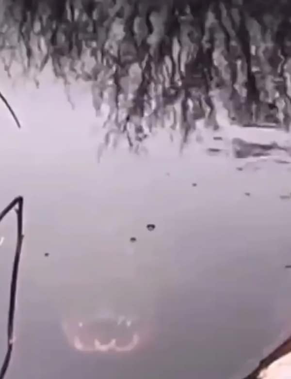 cursed images, creepy photos, unsettling images, eerie pictures, Creepy images, spooky photos, haunting pictures, Unsettling photos, disturbing pictures, weird images, Bizarre photos, odd images, strange pictures