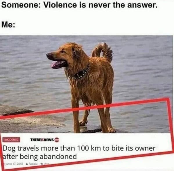 dog memes, doggo memes, canine memes, puppy memes, dog humor funny dog pictures, hilarious dog memes, dog owner humor puppy memes, dog lover memes, pet memes