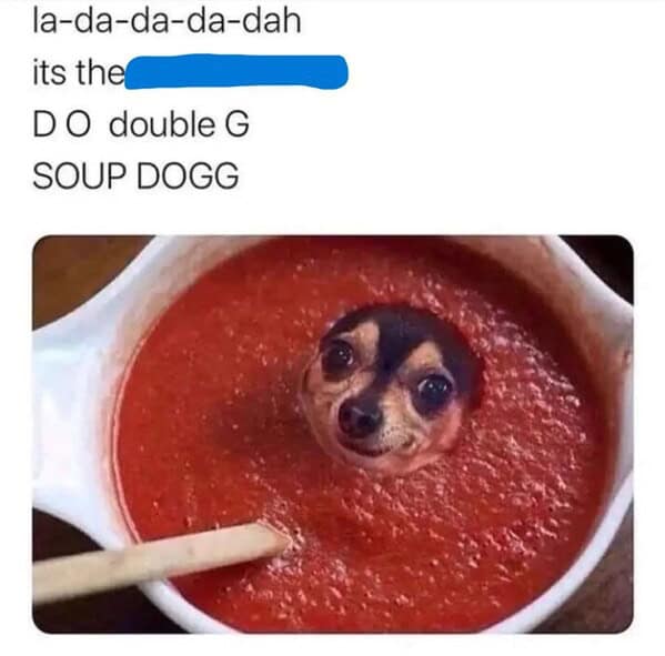 dog memes, doggo memes, canine memes, puppy memes, dog humor funny dog pictures, hilarious dog memes, dog owner humor puppy memes, dog lover memes, pet memes