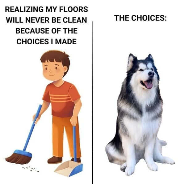 dog memes, doggo memes, canine memes, puppy memes, dog humor funny dog pictures, hilarious dog memes, dog owner humor puppy memes, dog lover memes, pet memes